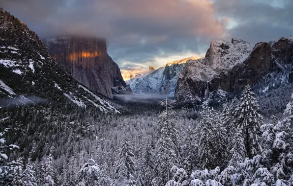 Picture winter, forest, trees, valley, CA, California, Yosemite national Park, Yosemite National Park