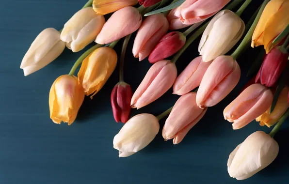 Surface, flowers, bouquet, tulips, buds, colorful