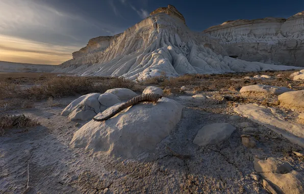 The sky, boulders, beautiful landscape, Elena Vtorushina, Tuzbair, Salt marsh, animal horn