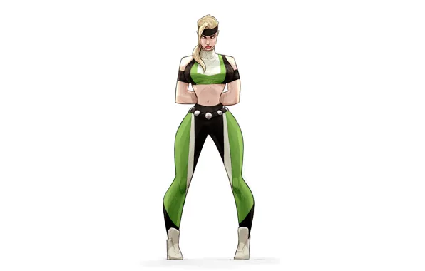 Minimalism, Figure, Background, Art, Classic, Art, Mortal Kombat, Mortal Kombat