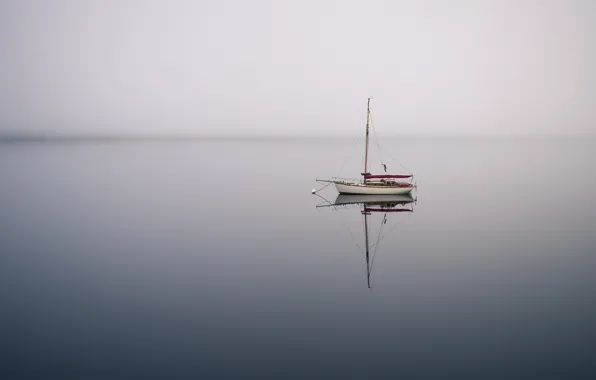 Sea, fog, boat