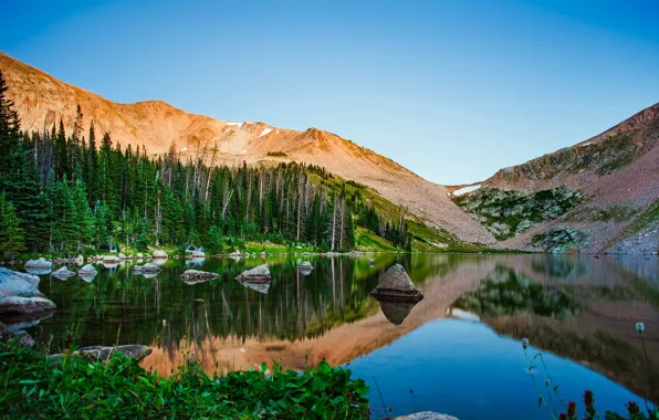 Forest, trees, mountains, lake, stones, CA, USA