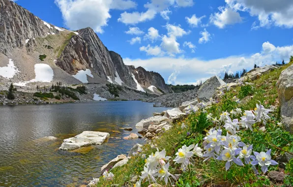 Greens, the sky, clouds, snow, flowers, mountains, lake, river