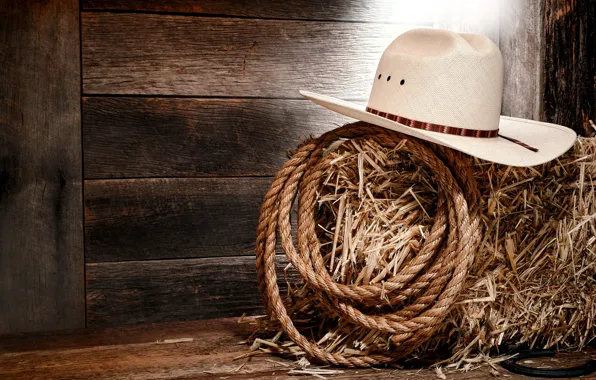 Picture wall, wood, cowboy, rope, white hat, straw