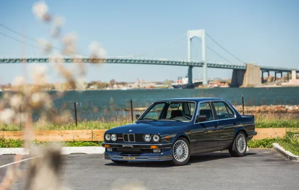 Picture BMW, bridge, Alpina, C2 2.5