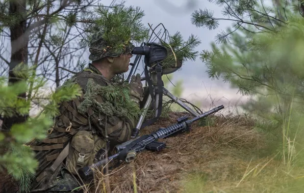 Picture weapon, sniper, Canadian Armed Forces