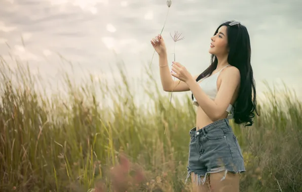 Picture summer, grass, girl, face