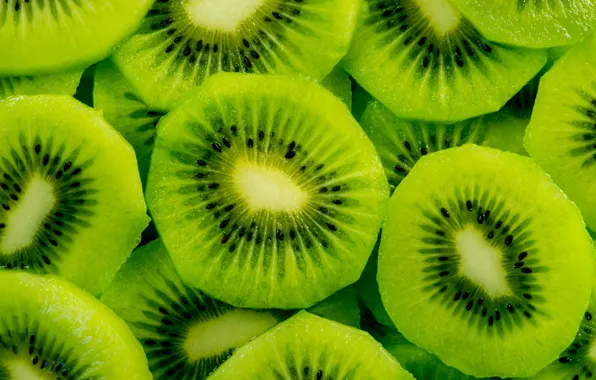 Macro, food, kiwi, fruit