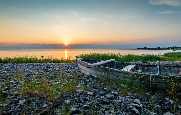 Summer, the sky, grass, the sun, clouds, light, sunset, lake
