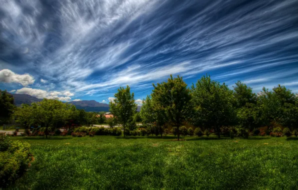 Picture greens, the sky, grass, clouds, trees, landscape, nature, green