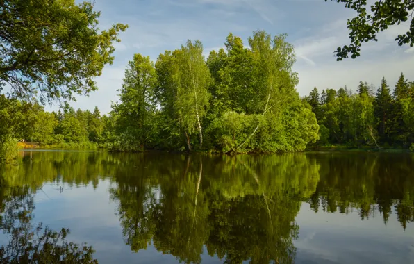 Nature, Lake, Trees, Summer, Nature, Summer, Reflection, Lake