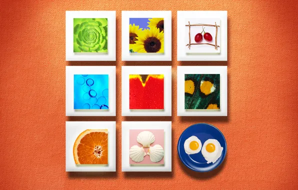 Picture wall, food, texture, squares