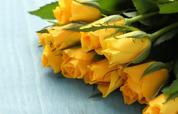 Picture yellow, background, bouquet, Iryna Melnyk, roses, wood, blue
