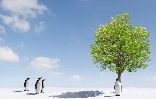 Animals, snow, trees, tree, ice, penguins