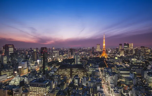 Picture the sky, clouds, sunset, the city, building, home, the evening, Japan