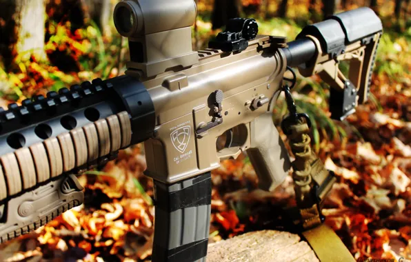 Autumn, forest, carabiner, tan, airsoft, scribal