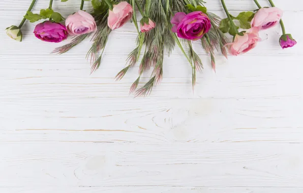 Picture flowers, roses, pink, wood, pink, flowers, beautiful, roses