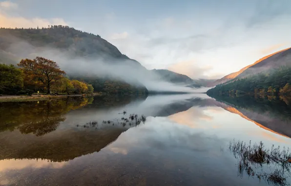 Autumn, fog, reflection, morning, pond