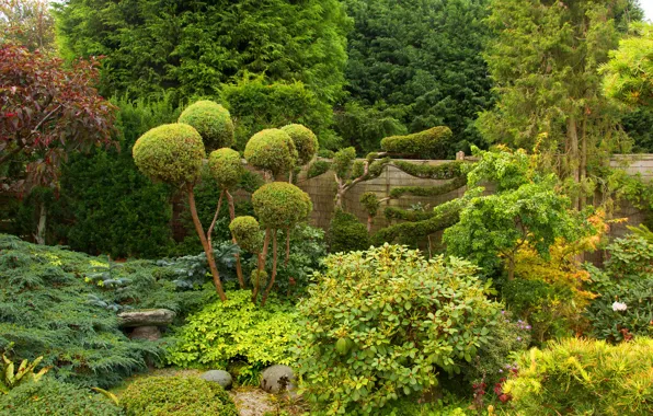Greens, trees, Park, the fence, England, the bushes, West Midland Safari Park, Bewdley