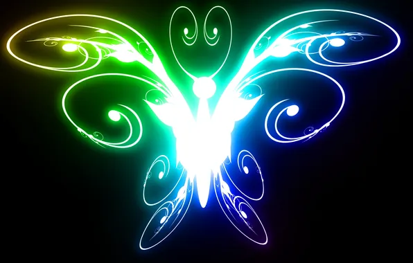 Light, black, color, Butterfly, bright
