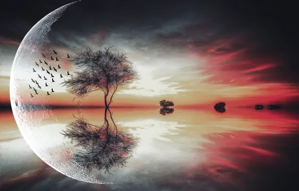 Picture trees, birds, the moon, Fantasy