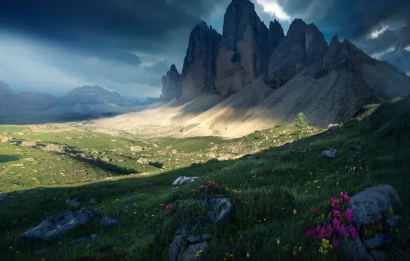 Summer, the sky, clouds, light, flowers, mountains, clouds, stones
