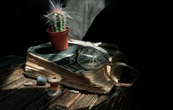Cactus, glasses, book, still life, thread