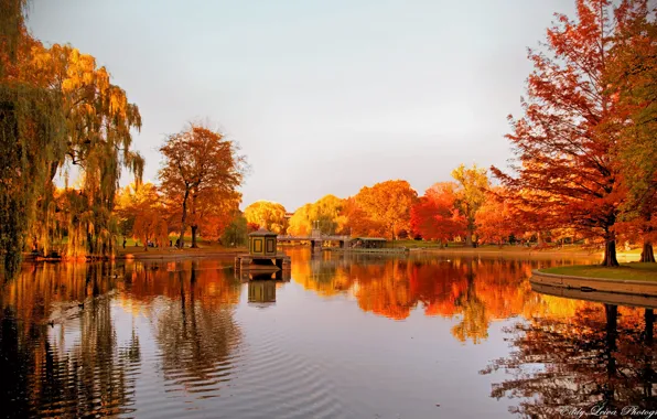 Autumn, trees, lake, reflection, gazebo