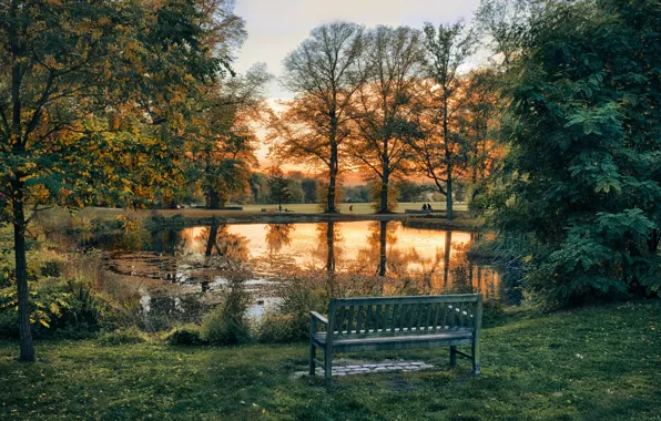 Trees, landscape, sunset, nature, pond, Park, lawn, bench