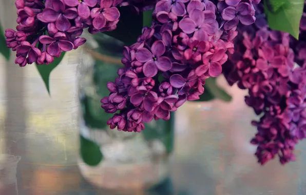 Flowers, branches, bouquet, spring, Bank, flowering, lilac, inflorescence