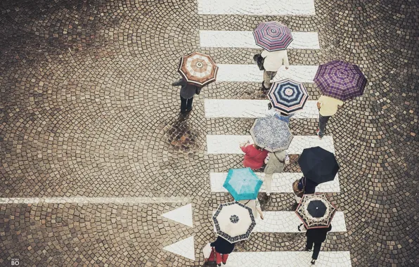 People, street, umbrellas, street, people, walking, umbrellas, crosswalk