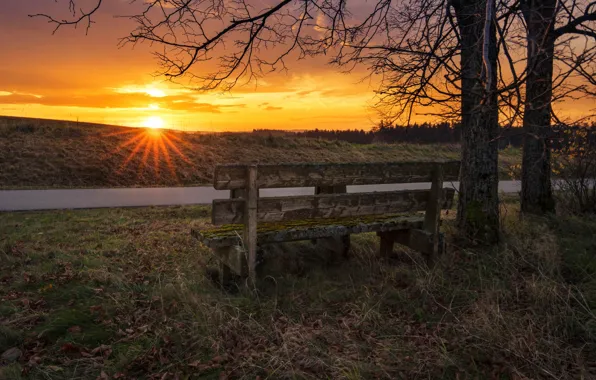 Autumn, sunset, bench