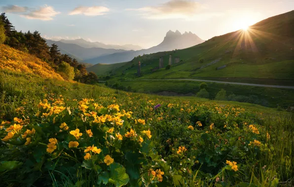 The sun, rays, trees, landscape, flowers, mountains, nature, slope