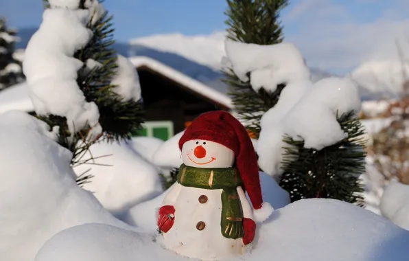Holiday, toy, snowman
