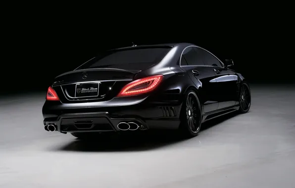 Picture Mercedes-Benz, CLS, black, class, bison