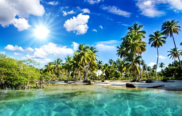 Picture sea, beach, the sky, the sun, clouds, nature, tropics, palm trees