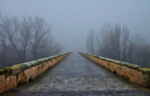 Spain, Salamanca, Castilla y León