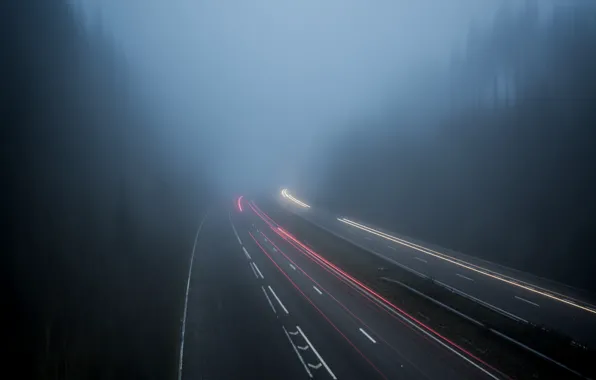 Road, forest, trees, fog, England, excerpt, traffic, UK