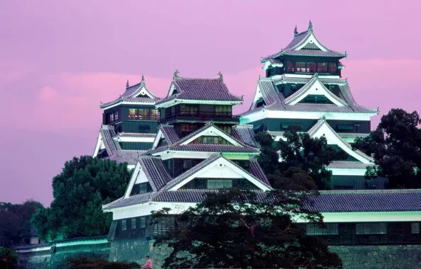 Japan, Castle, Kumamoto