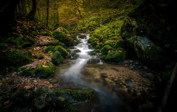 Autumn, forest, stream, stones, moss, river, Spain, Spain