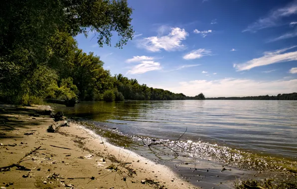 Picture summer, forest, river, sky, trees, water, Danube River, Danube