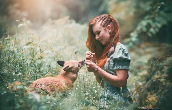 Picture girl, nature, Fox