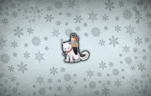 Grey, cat, snowballs