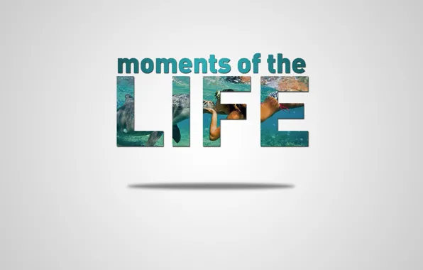 Picture girl, life, dolphin, kissing, moments