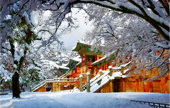 Picture winter, snow, trees, Asia, pagoda