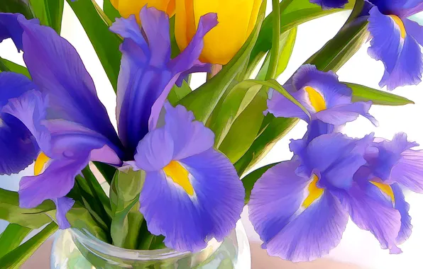 Leaves, bouquet, petals, iris