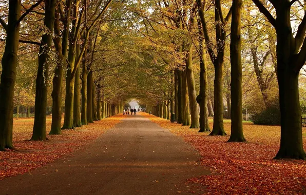 Picture road, autumn, leaves, trees, passers-by