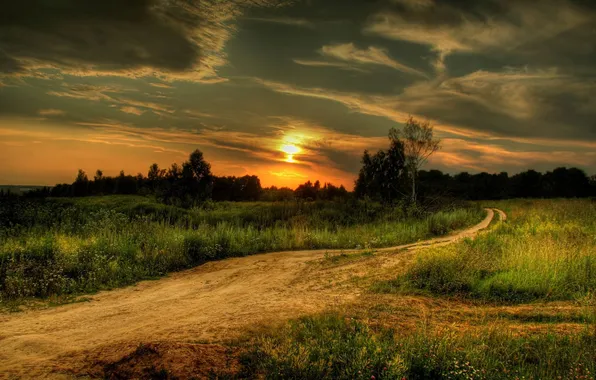 Picture road, field, sunset, nature