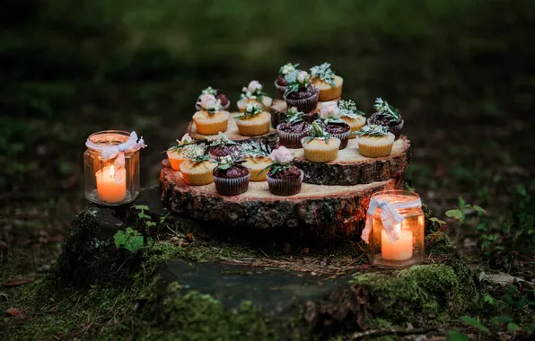 Nature, candles, banks, cupcakes