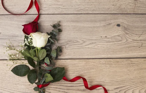 Love, roses, love, romantic, roses